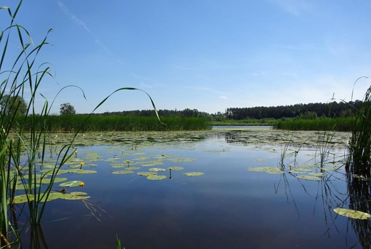 Ferienanlage Waschbaer Country เทมพลีน ภายนอก รูปภาพ
