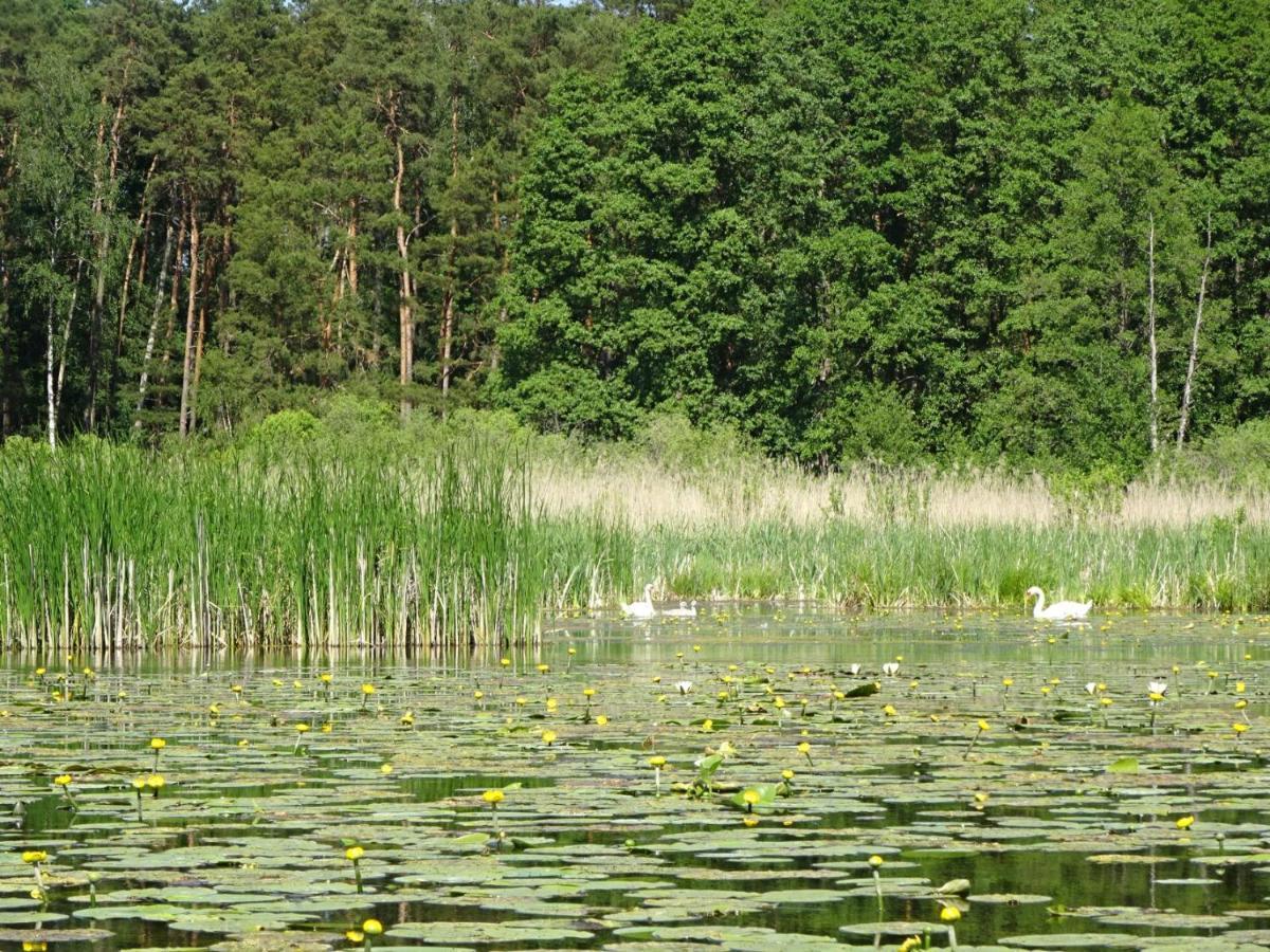 Ferienanlage Waschbaer Country เทมพลีน ภายนอก รูปภาพ