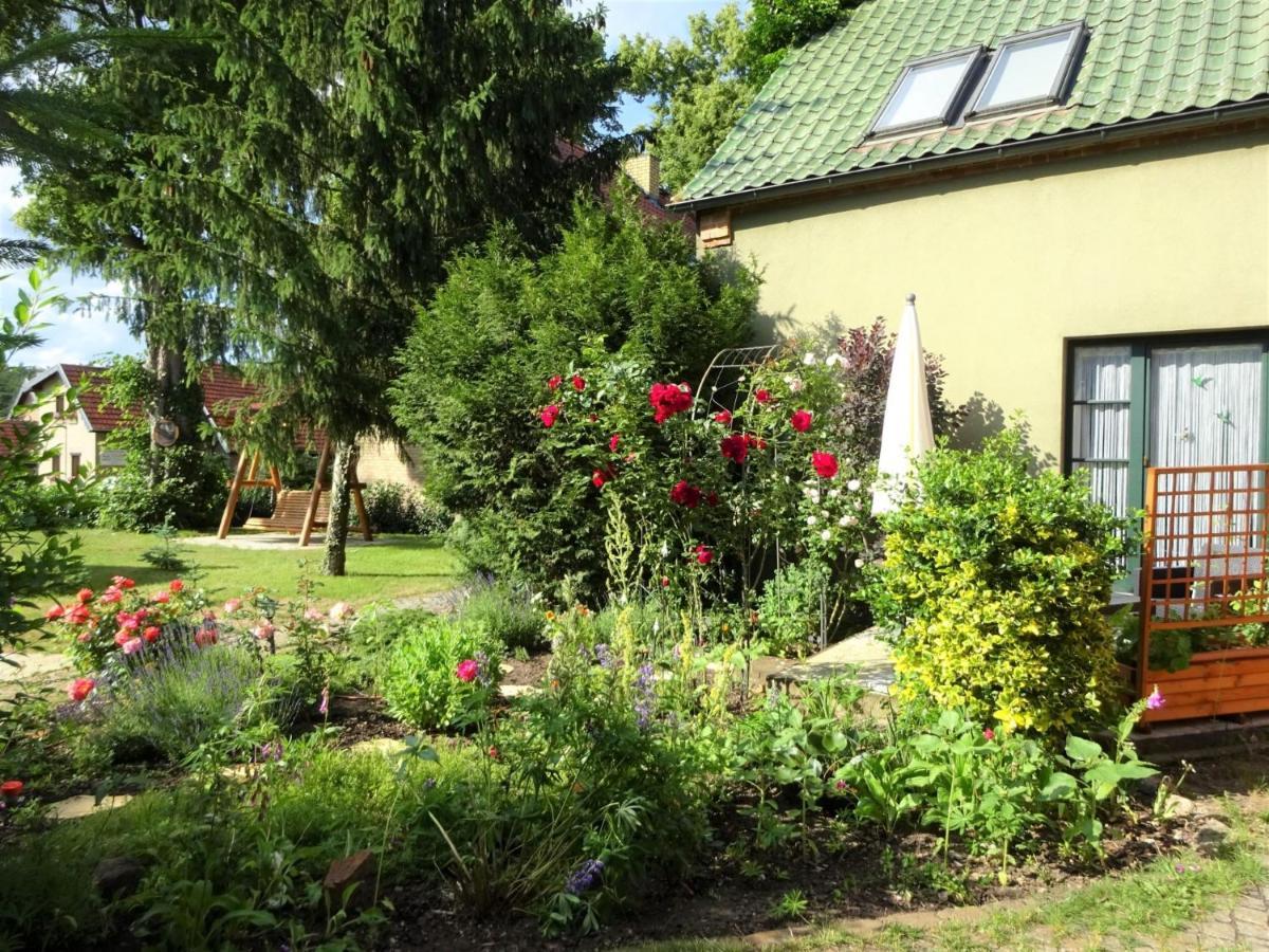 Ferienanlage Waschbaer Country เทมพลีน ภายนอก รูปภาพ