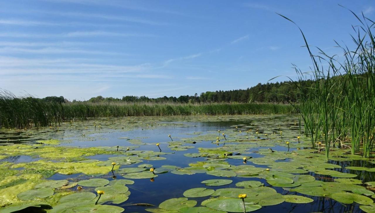 Ferienanlage Waschbaer Country เทมพลีน ภายนอก รูปภาพ