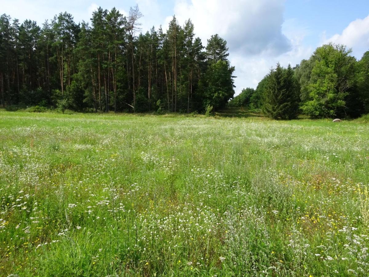 Ferienanlage Waschbaer Country เทมพลีน ภายนอก รูปภาพ