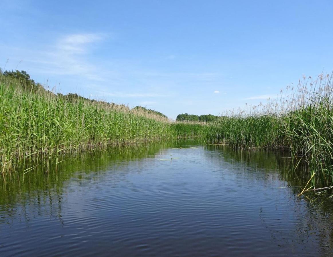 Ferienanlage Waschbaer Country เทมพลีน ภายนอก รูปภาพ
